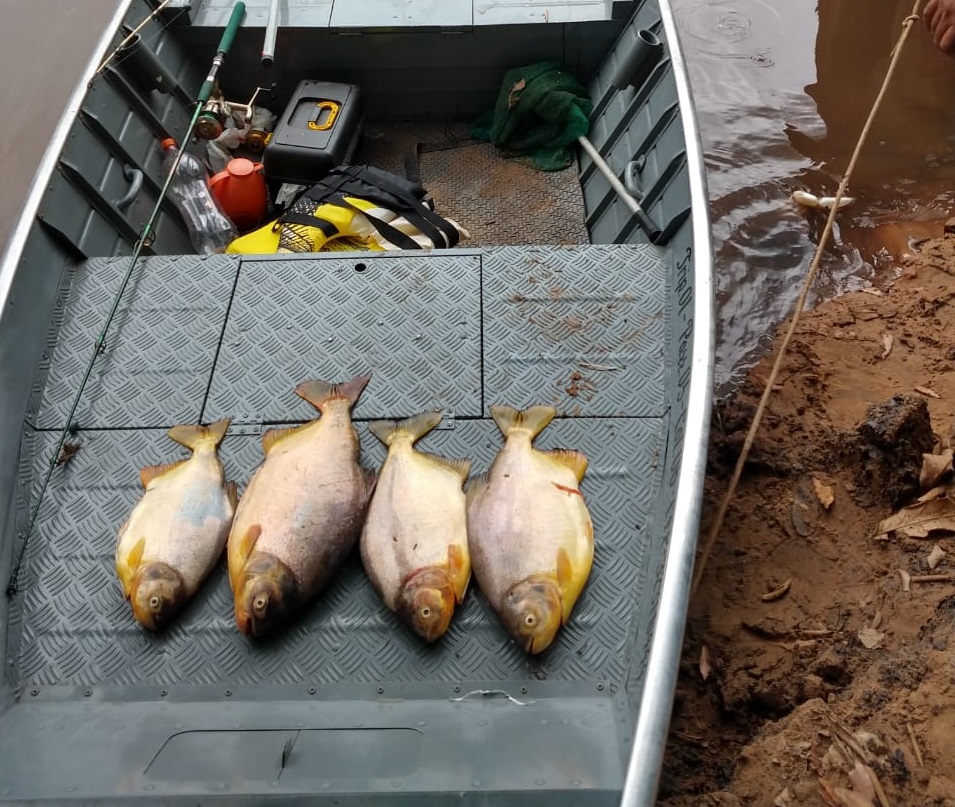 Pesca-paulista-Aquidauana-6-de-abril-de-2019-1