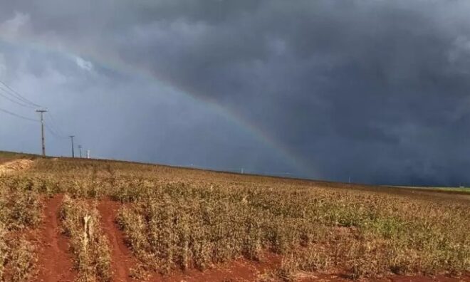 Chuvas intensas prejudicam a produção agrícola do Mato Grosso do Sul