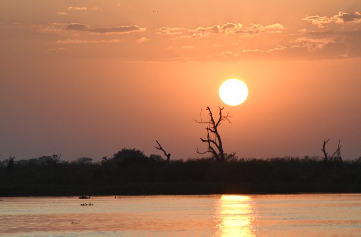 Pantanal-Tempo-Foto-Bruno-Rezende-16-730x480-1 (1)